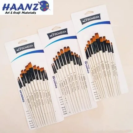 Bomeijia Brush Set 12Pcs - Haanz Sri Lanka