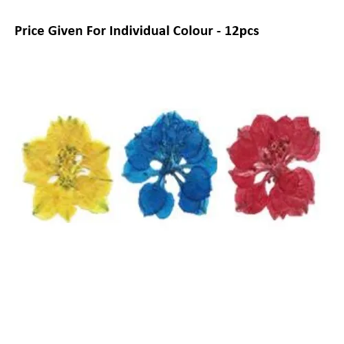 Pressed Dry Flowers Dyed Larkspur -12pcs - Image 1