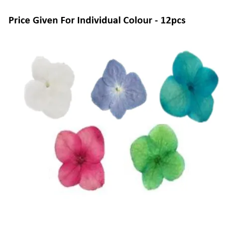 Dry Flowers Hydrangea -12pcs Pressed Dry Flowers Hydrangea -12pcs - Image 1