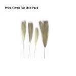Dry Multi-tailed Grass Small Bunch