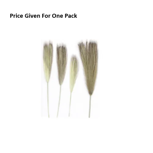 Dry Multi-tailed Grass Small Bunch - Image 1