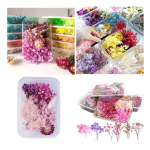 Dry flowers - Large Bucket