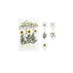 Pressed Dry Flowers Mix -MB Series