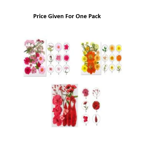 Pressed Dry Flowers Mix -MC Series - Image 1