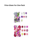 Pressed Dry Flowers Mix -MD Series