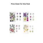 Pressed Dry Flowers Mix -SE Series