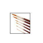 Rainbow Taclon Brush - 12