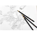 Graphite Drawing Pencil