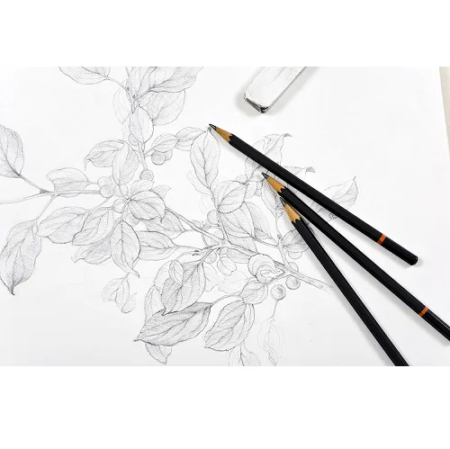 Sketching Pencils Graphite Drawing Pencil - Haanz Sri Lanka