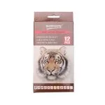 Worison Skin Colour Pencils 12 pack