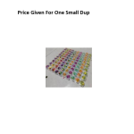 Tiny Dry Flowers Dup