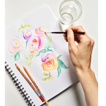 Watercolour Pencils - Haanz Art & Craft Materials