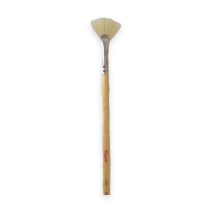 Apple Fan Brush(113L) -Size 2 - Haanz Sri Lanka