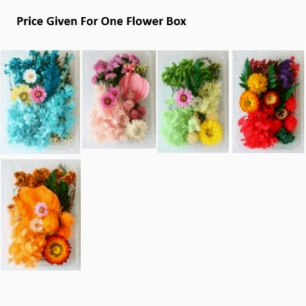 Dry Flowers Mix Box - DF02 - Haanz Sri Lanka