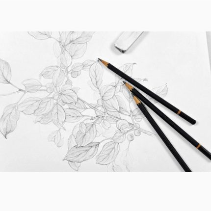 Graphite Drawing Pencil - Haanz Sri Lanka