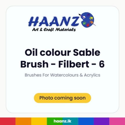 Oil colour Sable Brush - Filbert - 6 - Haanz Sri Lanka